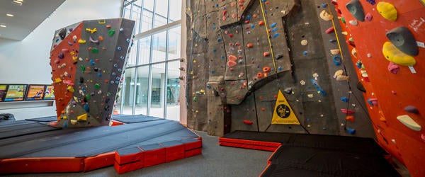 The Rock Thumbnail