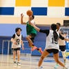 IM Champions